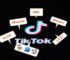 TikTok Slang Words, Phrases, Abbreviations and Emojis, Explained