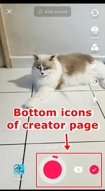 try not to change your cat icons｜Recherche TikTok